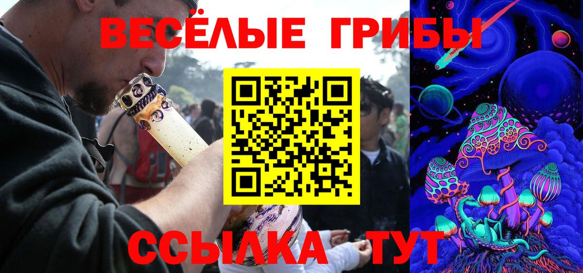 Псилоцибиновые грибы Cubensis  Вход с VPN  закладки  Заводоуковск  Галлюциногенные грибы Psilocybe 