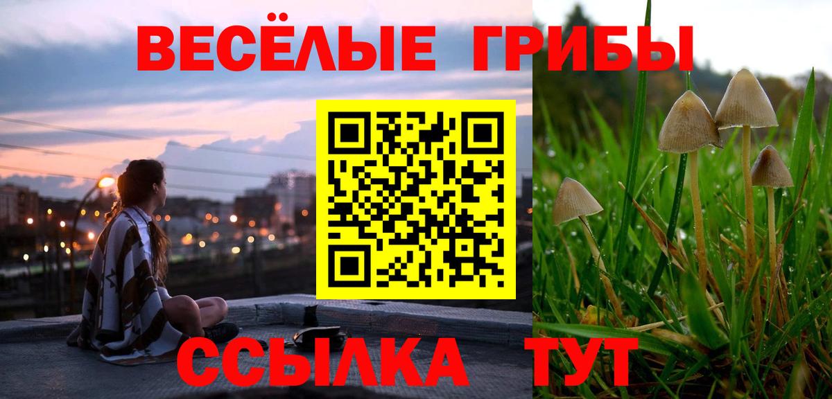 COCAIN  МЕТАМФЕТАМИН  Героин  Заводоуковск  MDMA  Вход с VPN  Гашиш  Меф МЯУ МЯУ кристаллы 