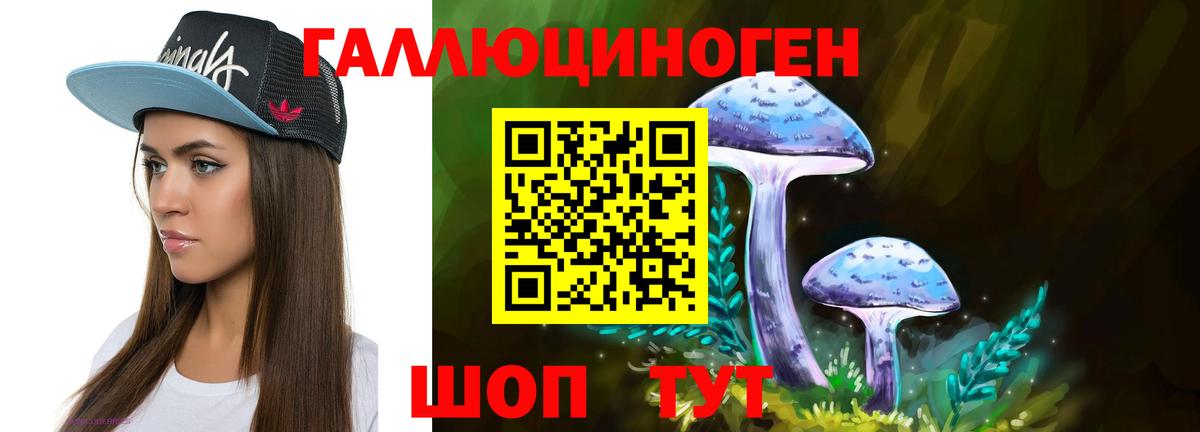 Псилоцибиновые грибы мухоморы Заводоуковск